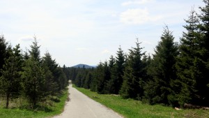 15 05 16 Fichtelberg Erzgebirge (12)